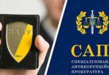 Власенко назвав керівника САП прихильником китайсько-російського підходу у боротьбі з корупцією