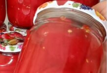 Літо в банці: як законсервувати помідори без солі, цукру й оцту
