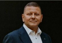 «Страх перед Залужним сильніший, ніж сам Залужний», — волонтер Сапронов
