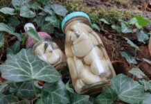 Легкий рецепт маринованого часнику: доповнюйте салати та сирну тарілку