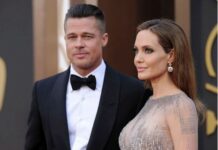 Залишились без дому через Бреда Пітта: що відомо про ситуацію з виноробнею «Шато Міраваль»