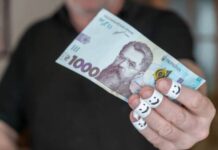 «Зимняя поддержка»: как получить и на что можно потратить тысячу от государства
