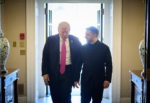 «Не має козирів»: Трамп вважає заяви Зеленського про готовність до миру блефом — ЗМІ