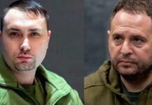 Захід хоче бачити Буданова на місці голови ОП, тому Єрмак почав атаку на голову ГУР, — Віктор Таран