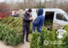 В Одессе проверяют елочные базары: полиция контролирует законность продаж хвойных деревьев