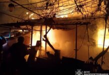 Десятки дронів атакували вночі Україну: де лунали вибухи
