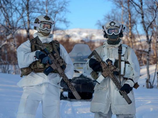 Операція «Арктика»: як Європа збирається зупинити аннексію Гренландії Трампом