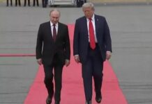 Трамп попросив путіна про енергетичне перемир’я: що відповів Кремль і як відреагував Зеленський