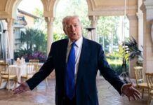Трамп призывает республиканцев «национализировать» избирательную систему США