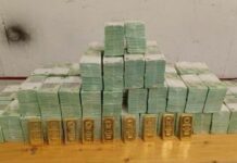 «Підробляли документи в туалеті»: Угорщина вигадала нові звинувачення українським інкасаторам