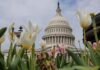 Сенат США отклонил резолюцию об ограничении военных полномочий Трампа в Иране