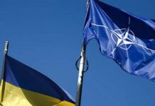 Розкол у НАТО: великі союзники Києва блокують естонську формулу допомоги Україні