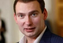 Після позову Міндіча Железняк назвав свої заяви про «злочинну організацію» оціночними судженнями та публіцистичними узагальненнями, — адвокат