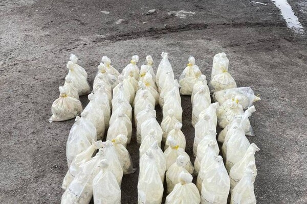 Старпома иностранного судна подозревают в загрязнении моря в Одесской области пальмовым маслом Старпома иностранного судна подозревают в загрязнении моря в Одесской области пальмовым маслом